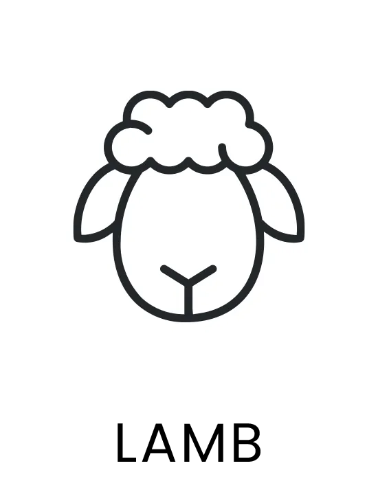LAMB